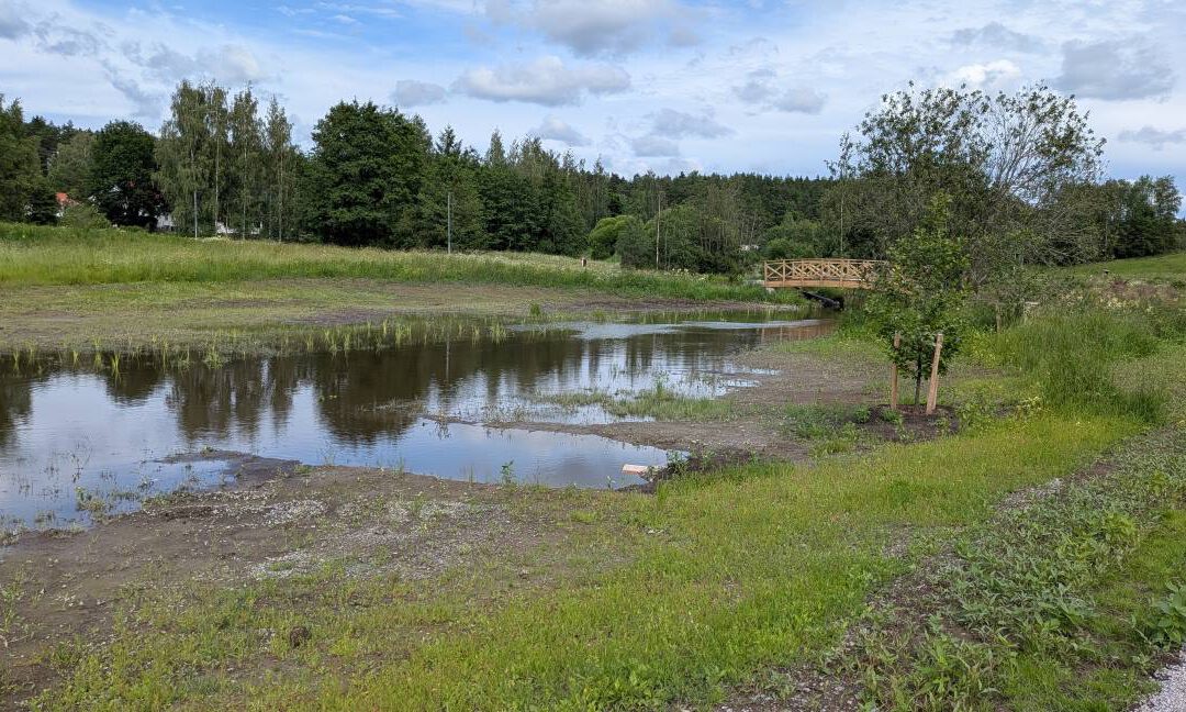New flood meadows ready for action in Tampere – stakeholder cooperation ensured a good outcome