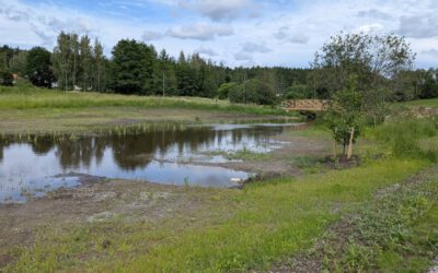New flood meadows ready for action in Tampere – stakeholder cooperation ensured a good outcome