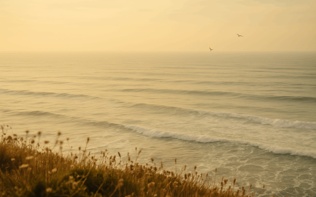 Poland’s pilot case that involved all Polish coastal municipalities