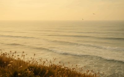 Poland’s pilot case that involved all Polish coastal municipalities