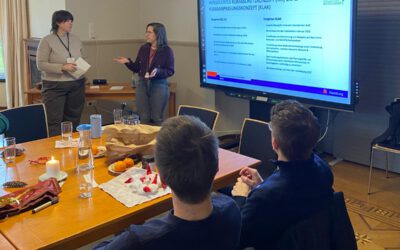 Climate-Friendly Christmas Workshop Inspires Sustainable Holiday Practices in Bergedorf