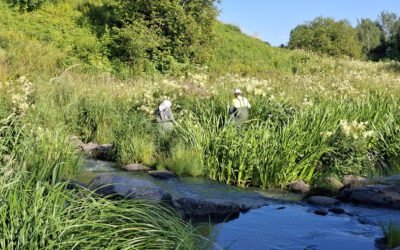 Sustainability Collaboration Between Civil Society Actors and Municipalities – 12 Examples from Finland