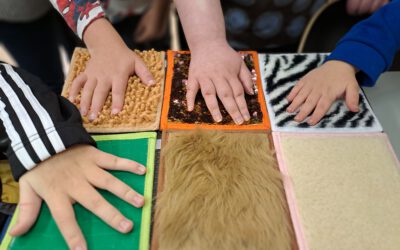 Exploring Emotions, Stories, and Relaxation: A School Morning in Finland