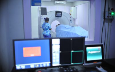 Pilot use case: CEREBRIU