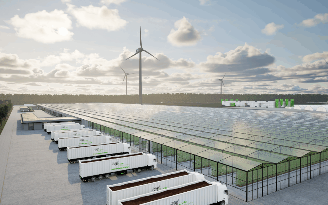 Media information on the outcomes of the project for Zemgale Planning Region