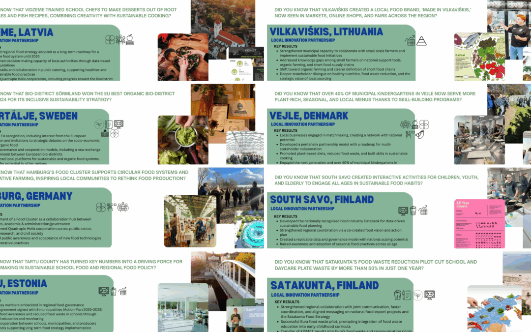 Local Innovation Partnership Pilot Case Results