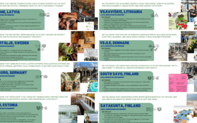 Local Innovation Partnership Pilot Case Results