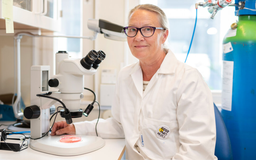 Spruce Bark Could Replace Toxic Chemicals