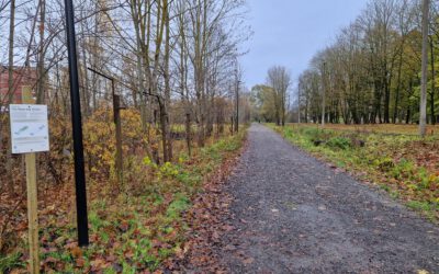 Challenges and solutions from the City Blues pilot in Tartu