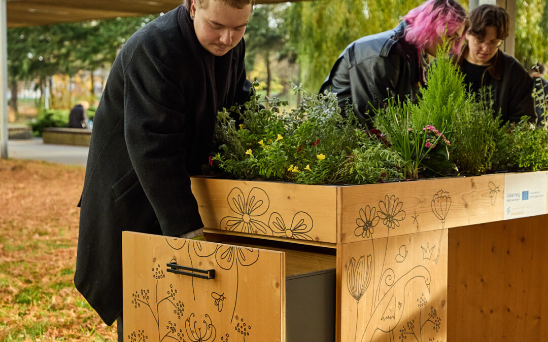 Materials for the Chest for Multigenerational Planting