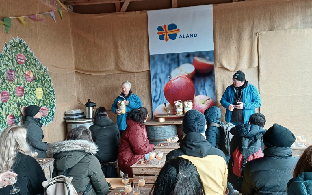 More than a pilot: A Light in the Dark collaboration story