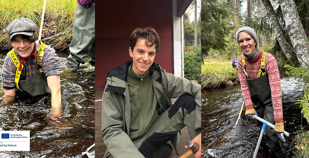 Young people take action for nature in Nedre Dalälven