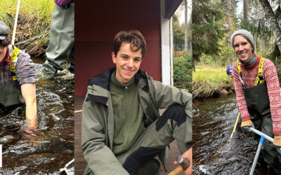 Young people take action for nature in Nedre Dalälven