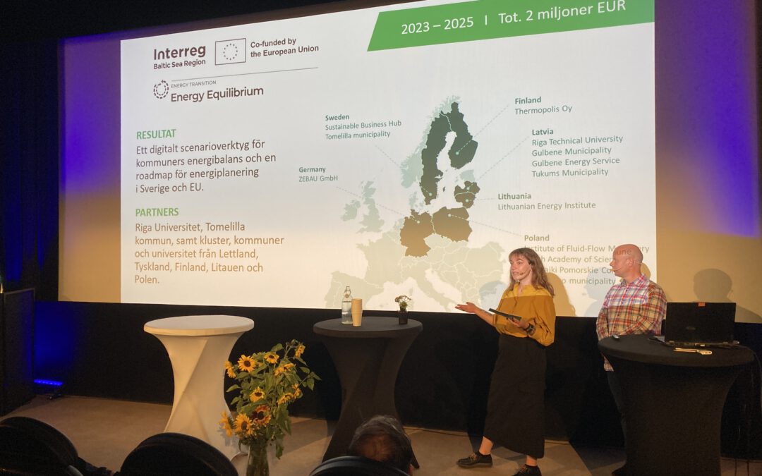 Showcases of the Energy Equilibrium Platform in Sweden