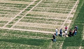 Field Experiments with Recycled Nutrient Fertilizers