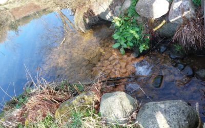 Transition stories describe pilot cities’ journeys towards water-sensitive city planning