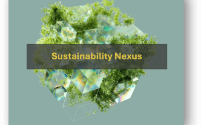 Training the Trainers: Bringing Climate Action into the Games Industry