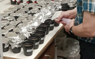 Laboratory Test Reveals Gypsum’s  Remarkable  Impact on Soil