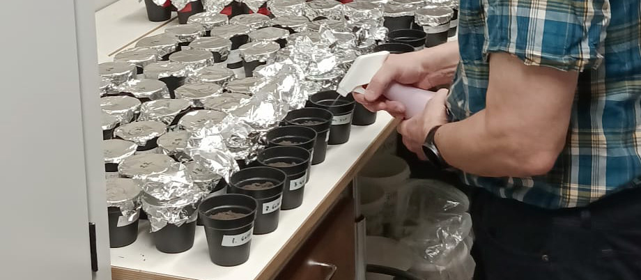 Laboratory Test Reveals Gypsum’s  Remarkable  Impact on Soil