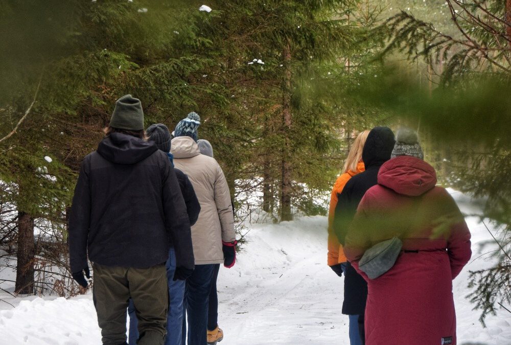 Steps into Silence – Trīsuļi, Latvia
