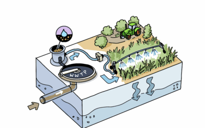 Recycling treated wastewater for agricultural use