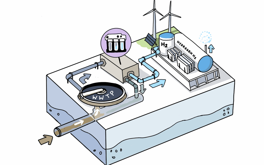 Recycling treated wastewater for hydrogen production