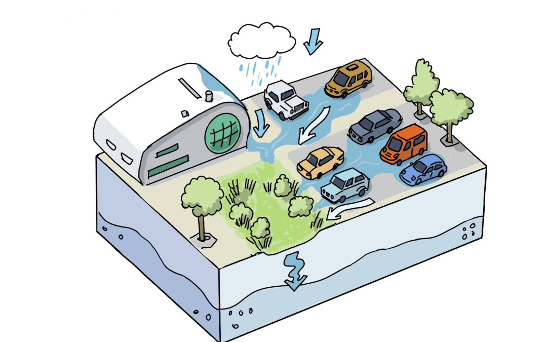 Rain garden for the greening of a public car park