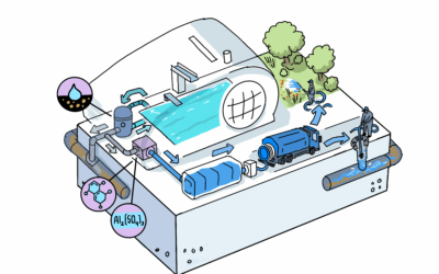 Recycling public swimming pool water for canal flushing