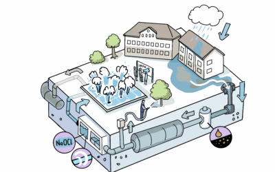 Stormwater recycling for fountain operation and greenery irrigation