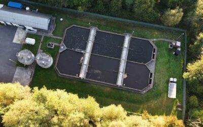 Simple Filter, Major Shift in Perspective