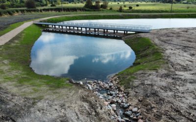 A Pond Designed for the Future
