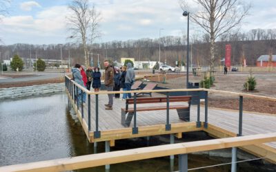 Advancing climate resilience through projects: City Blues and Life LATESTadapt met in Tallinn