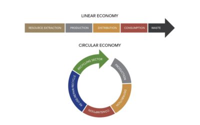 Circular Economy in Port Environments — Handbook Now Available