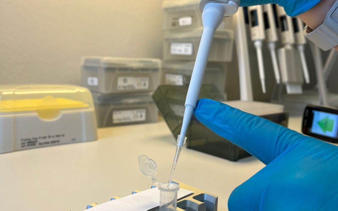 PestSpace molecular laboratory protocols developed