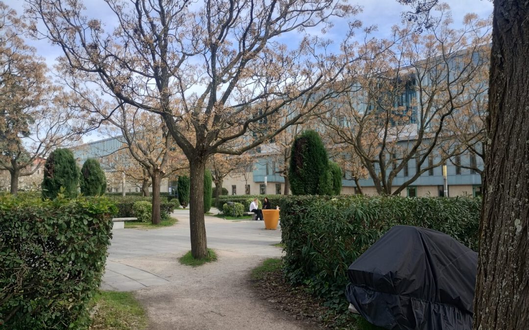 PestSpace at the IOBC-WPRS Conference in Avignon, France