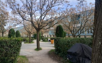 PestSpace at the IOBC-WPRS Conference in Avignon, France