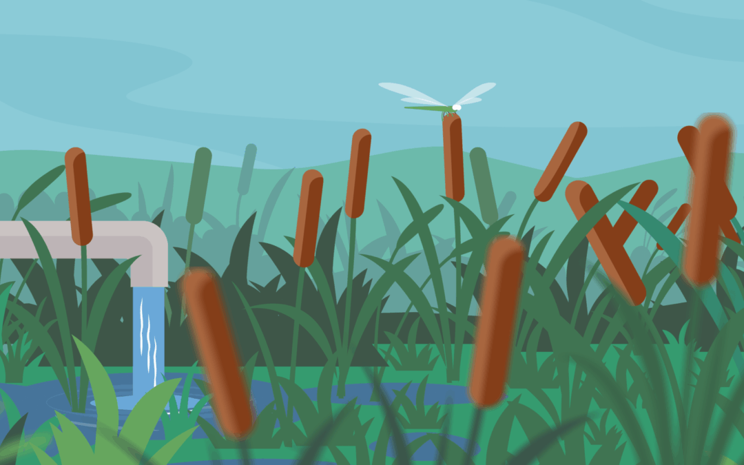 Happy International Water Day!