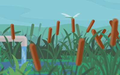 Happy International Water Day!