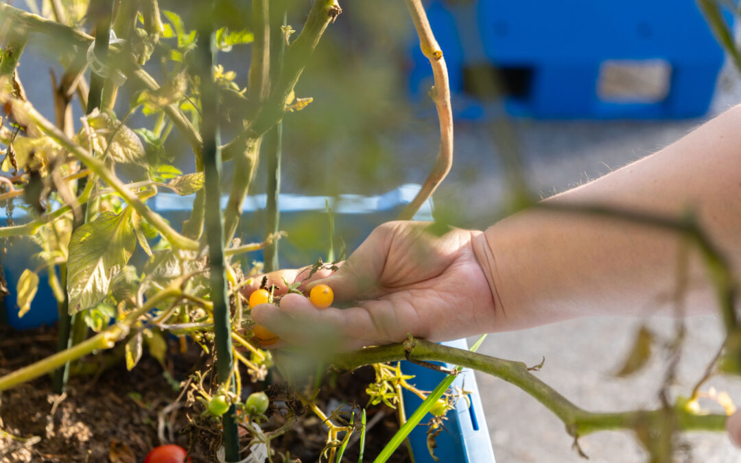 The Story of We make transition!