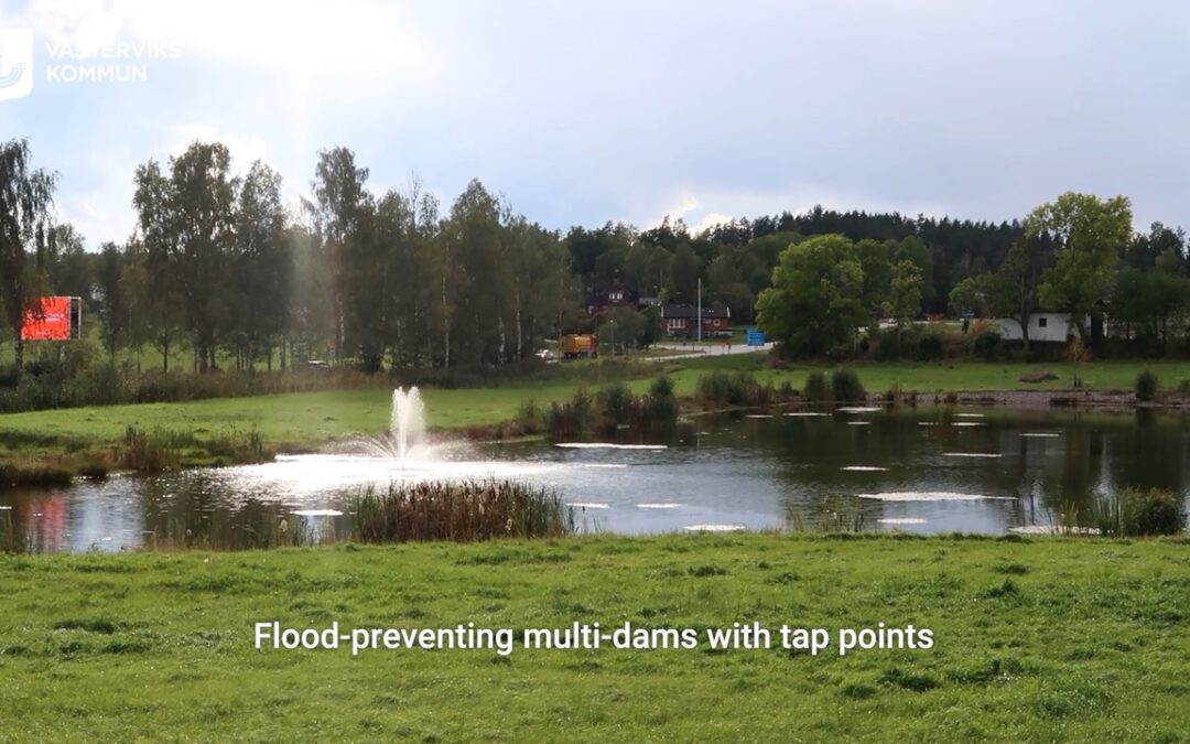 A Multi-Perspective Shift