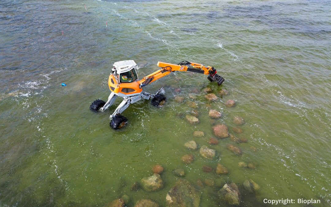 Neuendorf Coastal Reef Habitat (Germany)