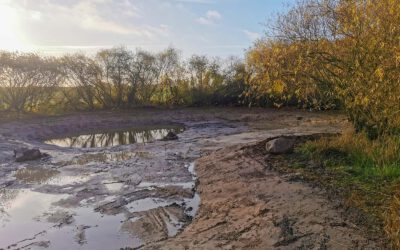 Fields, Water, Thirst for Knowledge  – The Nadelitz Learning Site