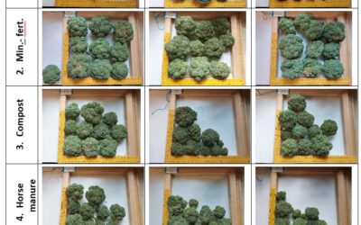 Field Trials Confirm the Potential of Recycled Nutrient Fertilisers