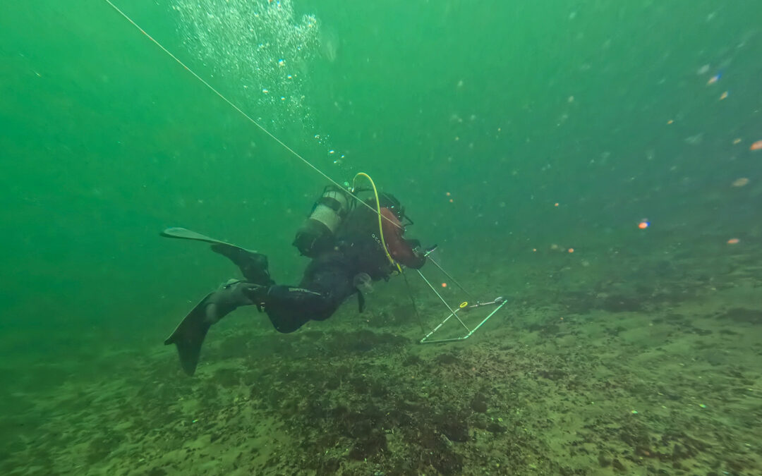 Stone Reef Restoration on Møn – Mads Rev (Denmark)