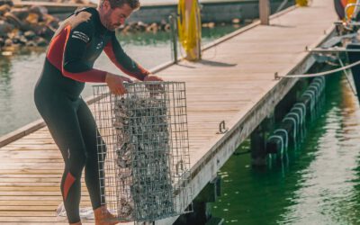 Harbor Structures on Møn – Biohuts