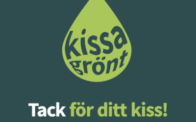 One football game at the time towards a circular economy