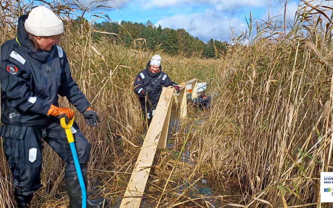 Fish Duckboards – Testing a New Method for Pike Spawning Habitat Restoration