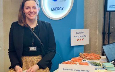 Crunching for energy security at the EU Strategy for the Baltic Sea Region in Tallinn.