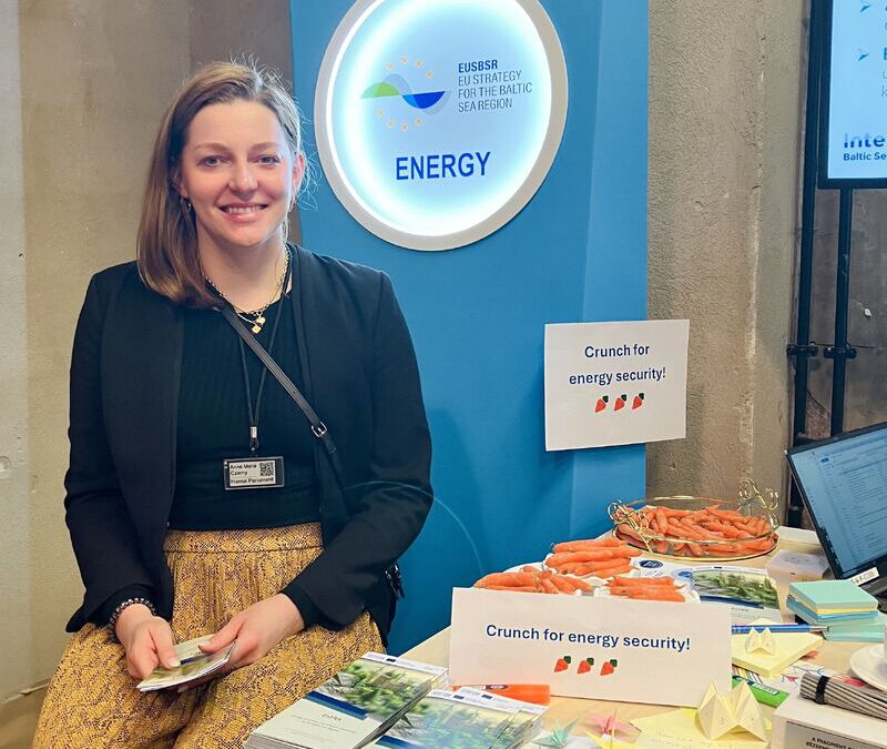 Crunching for energy security at the EU Strategy for the Baltic Sea Region in Tallinn.