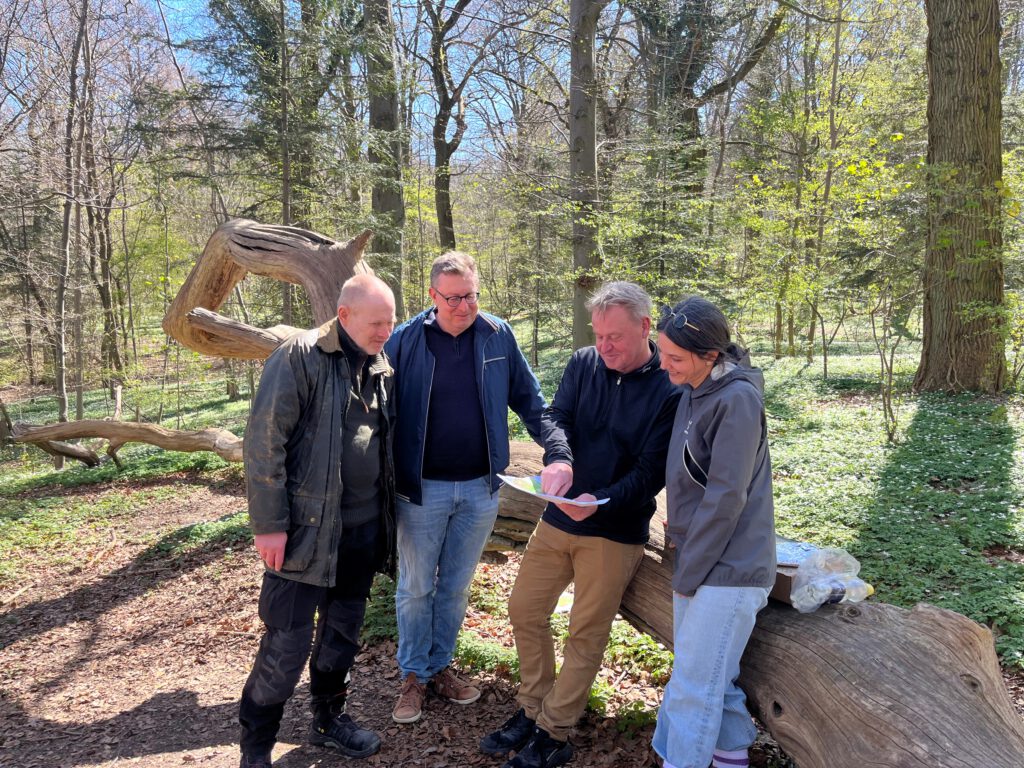 Members of the Danish and Swedish DGW teams discuss selection of trees for genetic monitoring in the Gene Conservation Unit DNK00074 (Boserup Skov). April 2026.